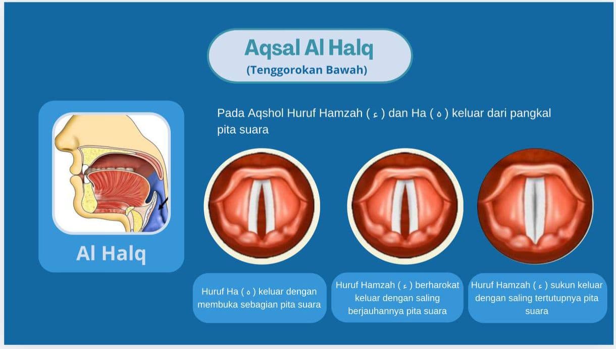 Modul Pembelajaran Berkualitas