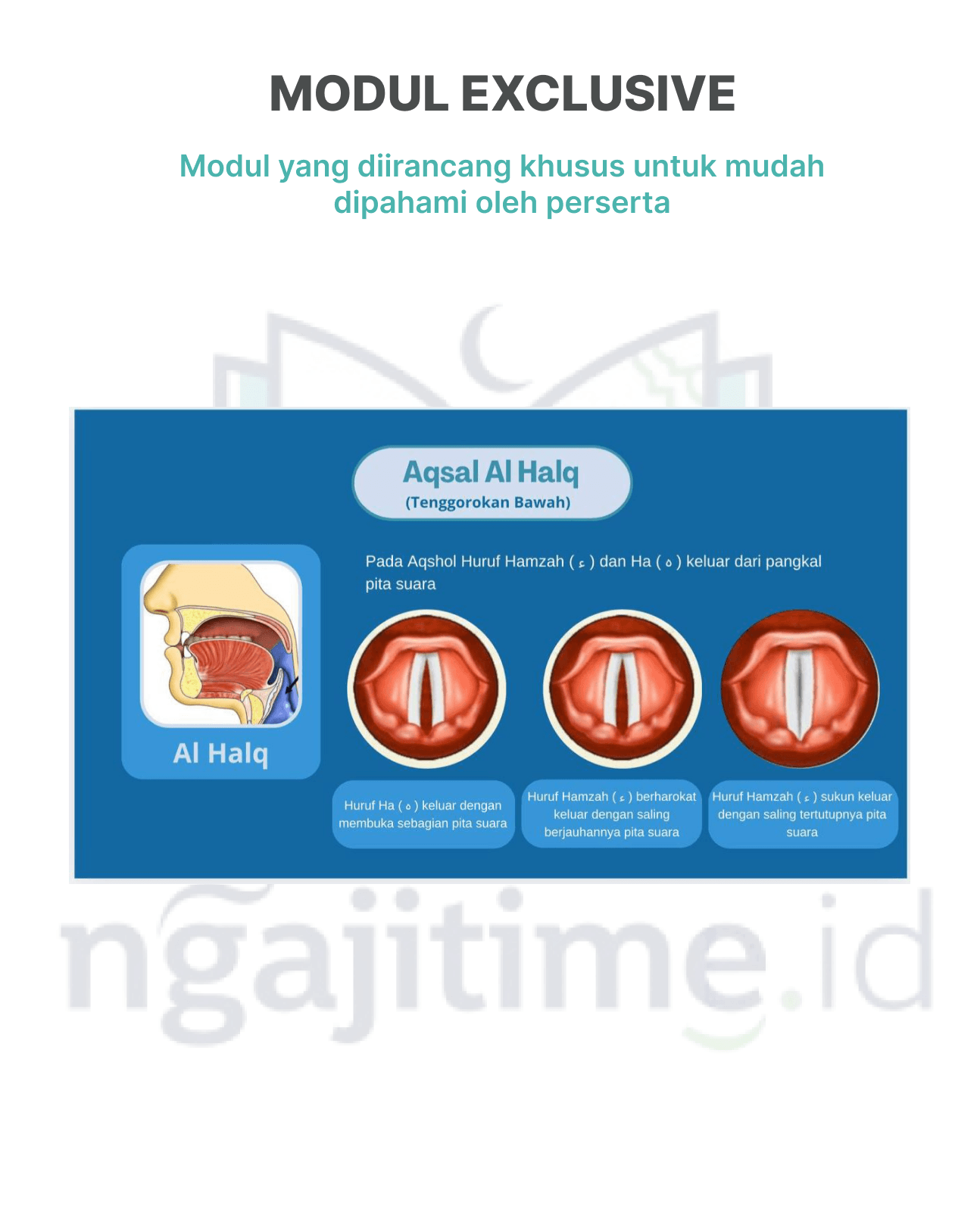 Materi dirancang eksklusif untuk mempermudah proses pembelajaran tahsin dari dasar hingga mahir.